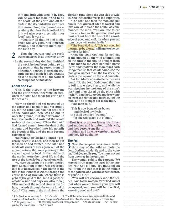 NIV Radiant Virtues Bible: A Beautiful Word Collection, Comfort Print--soft leather-look, navy