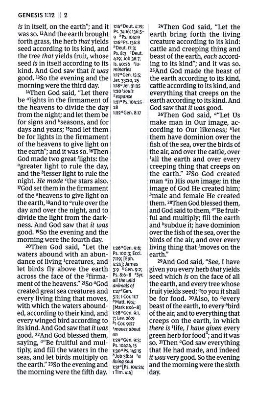 NKJV, Giant Print Center-Column Reference Bible, Verse Art Cover Collection, Genuine Leather, Brown, Thumb Indexed, Red Letter, Comfort Print