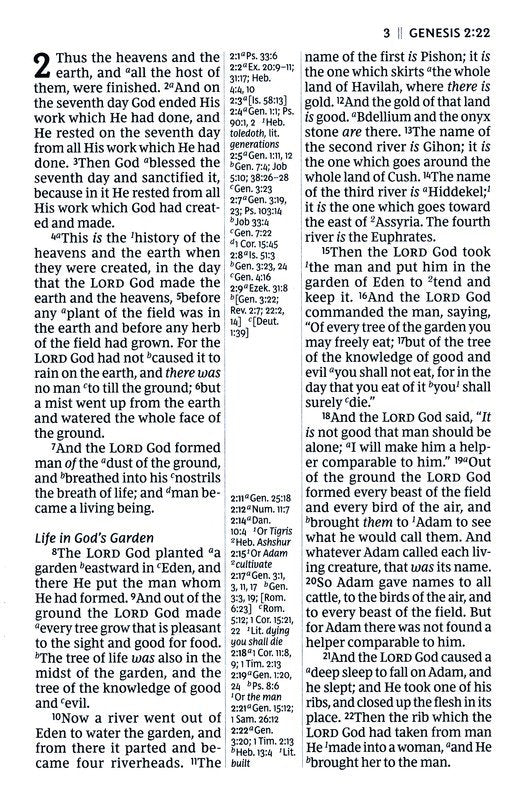 NKJV, Giant Print Center-Column Reference Bible, Verse Art Cover Collection, Genuine Leather, Brown, Thumb Indexed, Red Letter, Comfort Print