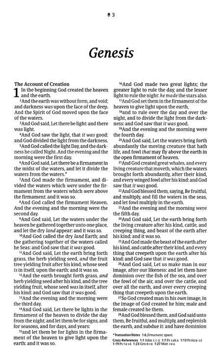 KJV Thinline Reference Bible, Filament Enabled Edition, LeatherLike, Floral Frame Purpleib