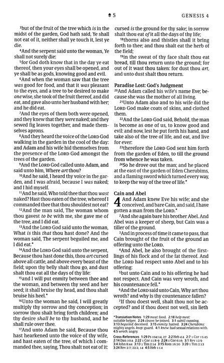 KJV Thinline Reference Bible, Filament Enabled Edition, LeatherLike, Floral Frame Purpleib