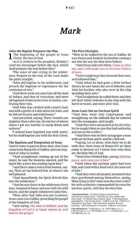 KJV Thinline Reference Bible, Filament Enabled Edition, LeatherLike, Floral Frame Purpleib