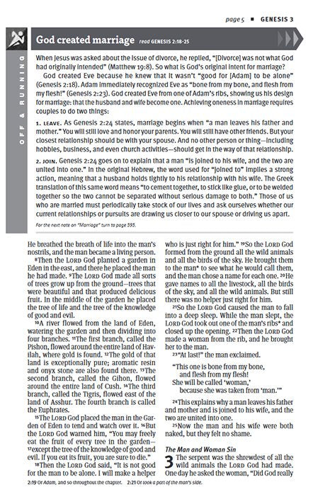 NLT New Believer's Bible: First Steps for New Christians, hardcover