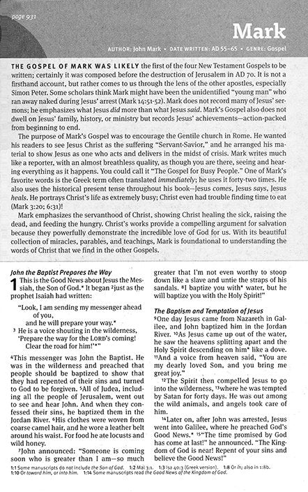 NLT New Believer's Bible: First Steps for New Christians, hardcover