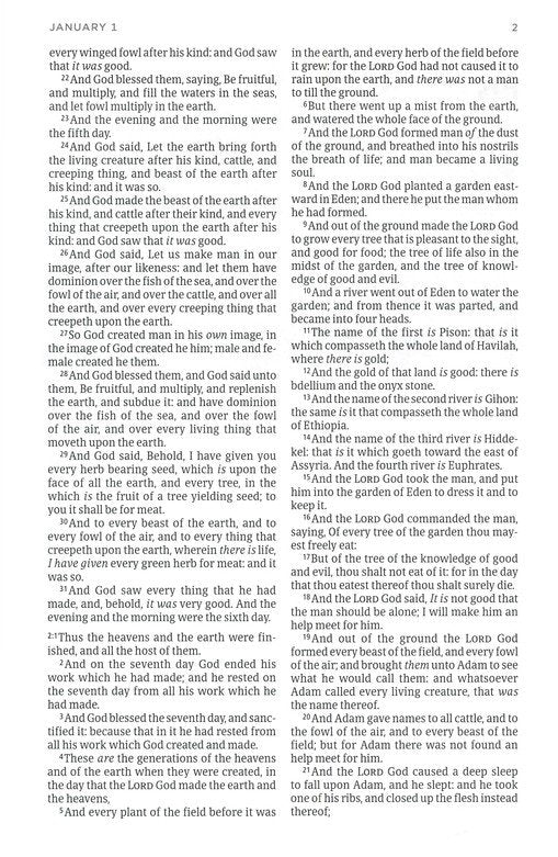 KJV One Year Bible for Men--soft cover