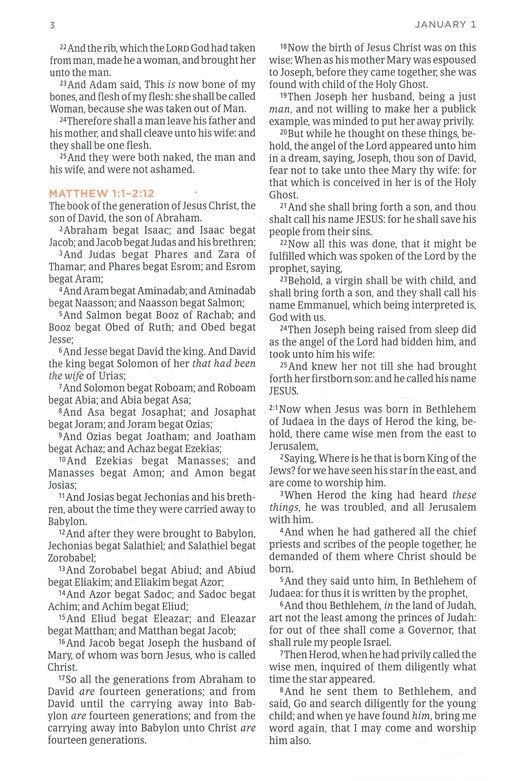 KJV One Year Bible for Men--soft cover