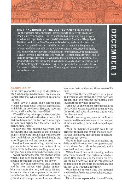 KJV One Year Bible for Men--soft cover