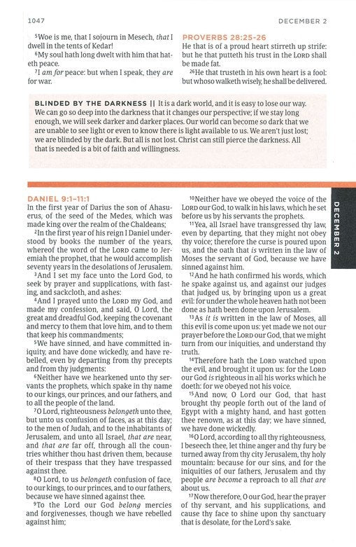 KJV One Year Bible for Men--soft cover