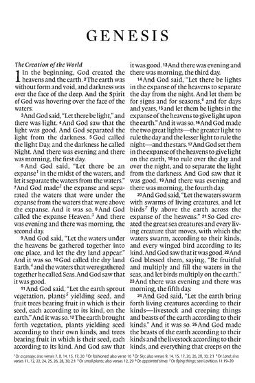 ESV Large Print Compact Bible (TruTone, Brown/Walnut, Portfolio Design), Leather, imitation