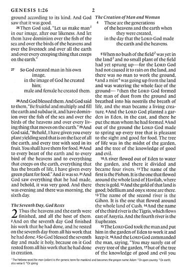 ESV Large Print Compact Bible (TruTone, Brown/Walnut, Portfolio Design), Leather, imitation