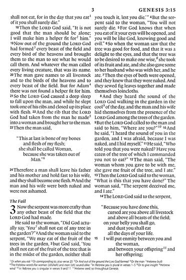 ESV Large Print Compact Bible (TruTone, Brown/Walnut, Portfolio Design), Leather, imitation