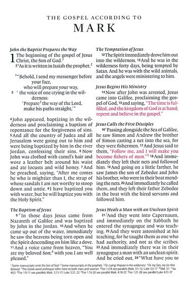 ESV Large Print Compact Bible (TruTone, Brown/Walnut, Portfolio Design), Leather, imitation