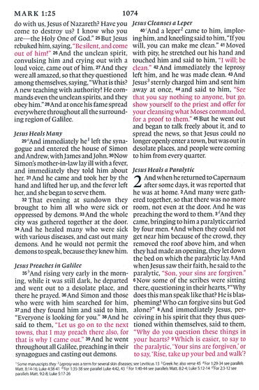 ESV Large Print Compact Bible (TruTone, Brown/Walnut, Portfolio Design), Leather, imitation