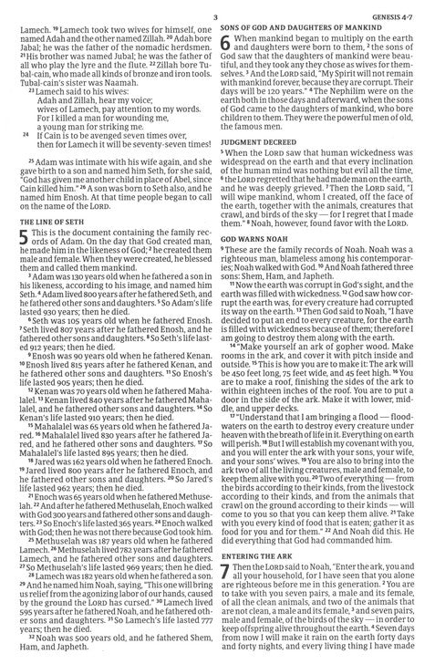 CSB Deluxe Gift Bible--soft leather-look, burgundy