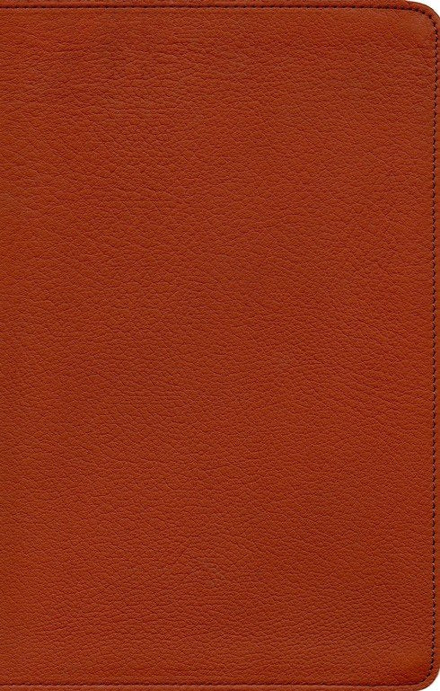 NASB Single-Column Personal Size Bible, Burnt Sienna LeatherTouch
