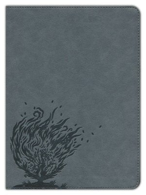 CSB Experiencing God Bible--LeatherTouch, charcoal (indexed)