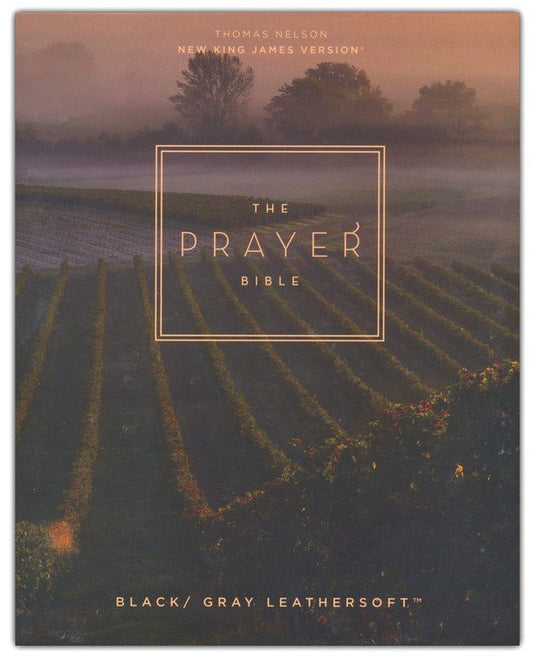 NKJV Prayer Bible, Comfort Print--soft leather-look, black/gray