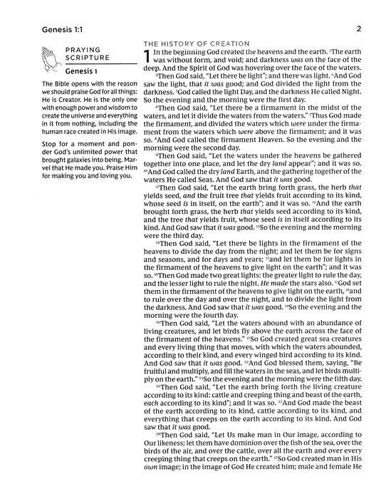 NKJV Prayer Bible, Comfort Print--soft leather-look, black/gray