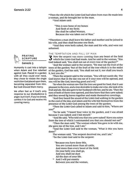 NKJV Prayer Bible, Comfort Print--soft leather-look, black/gray