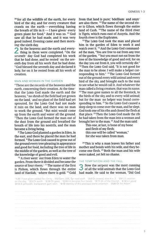 CSB (in)courage Devotional Bible--soft leather-look, sage (indexed)