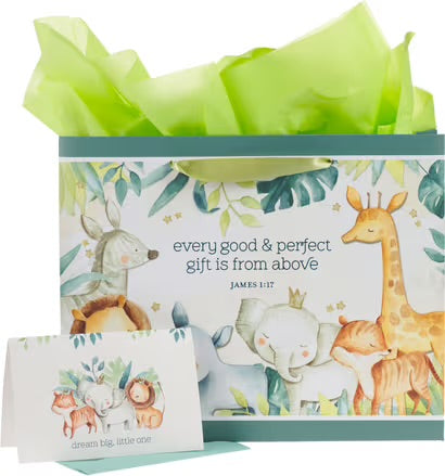 3 In 1 Bag Set “Dream Big Little One”