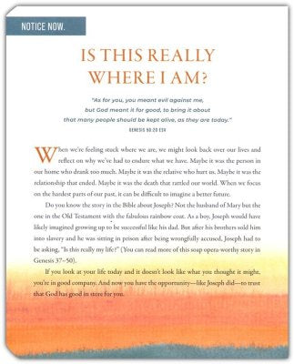 100 Days to Discovering the Gift of You