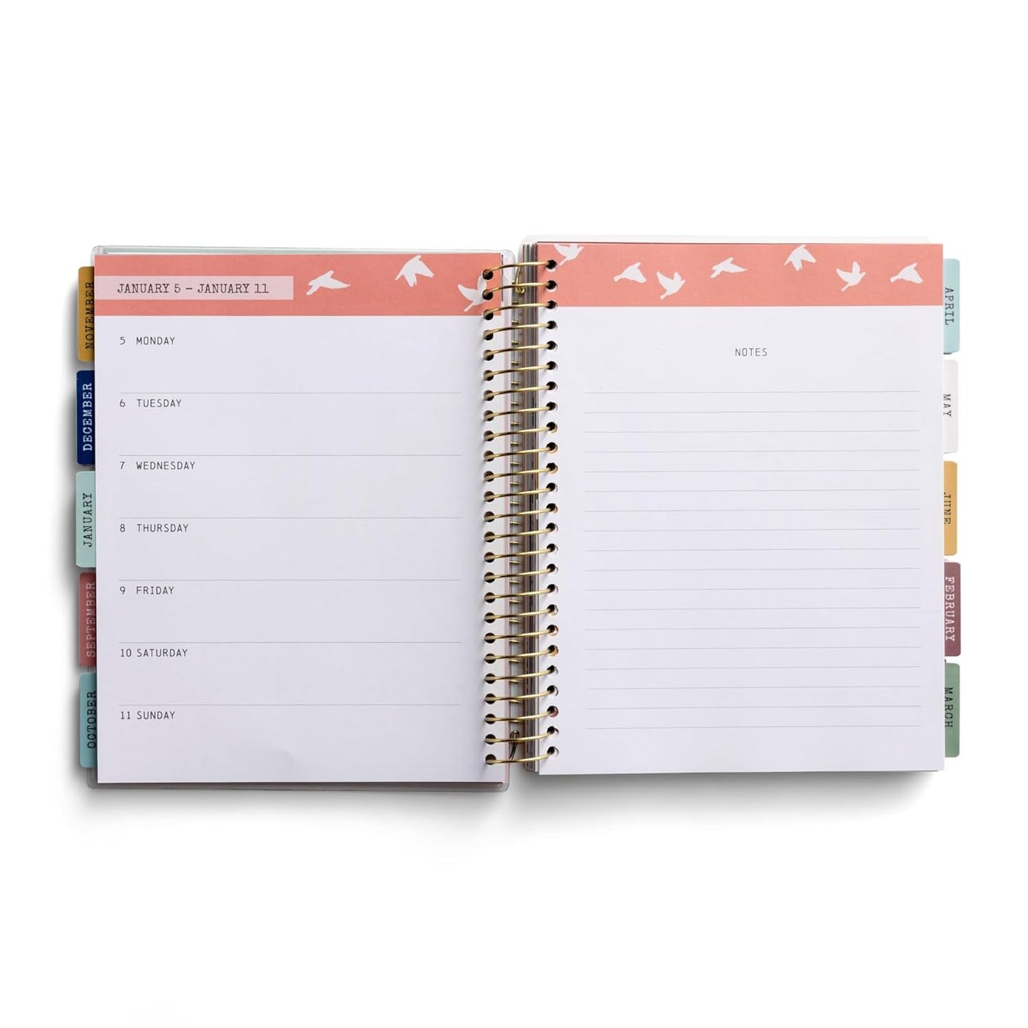 His Glory Fills the World 2025-2026 18-Month Devotional Planner (July 2025 - December 2026)