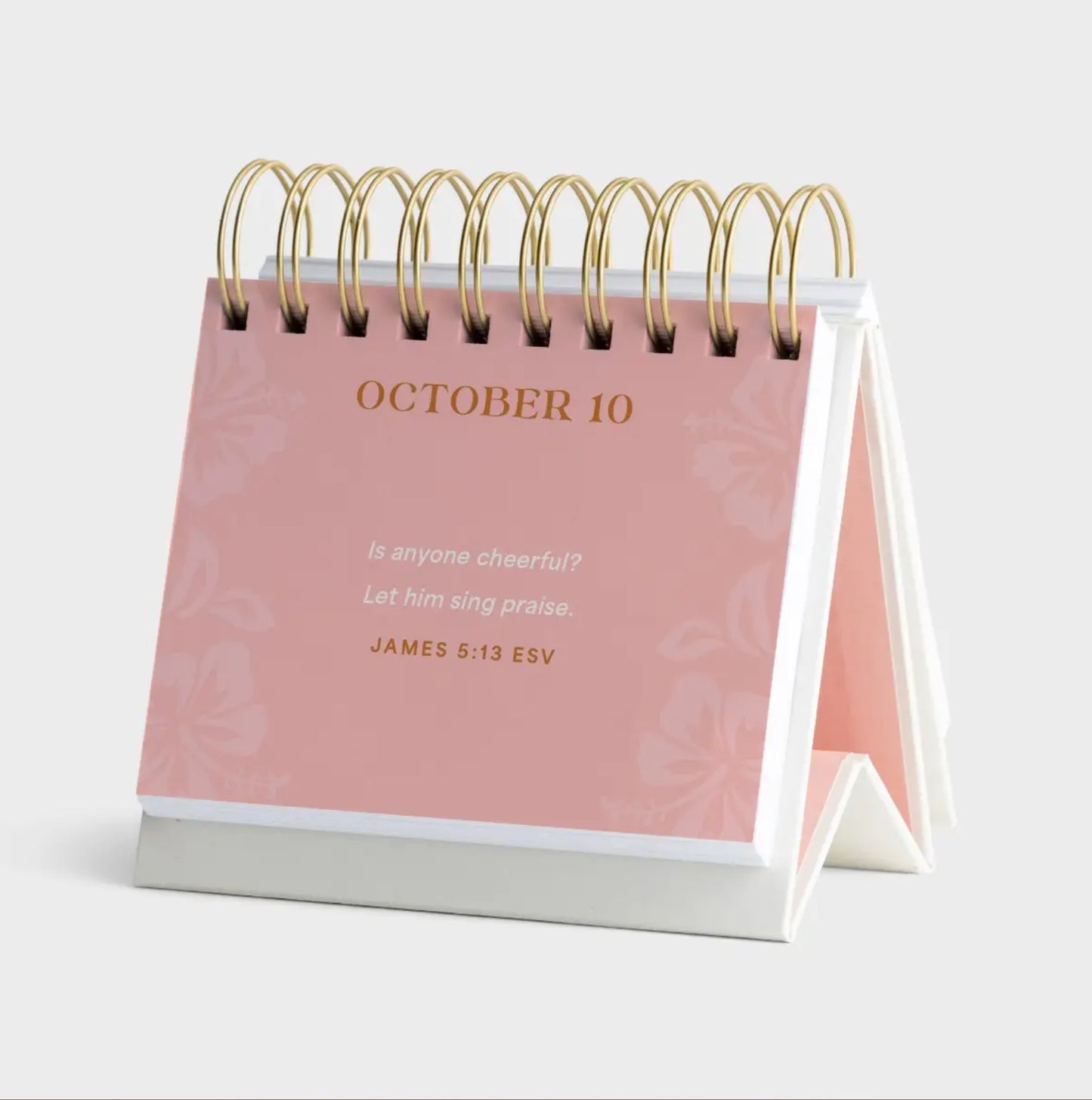 Hannah Crews - Hot Rollers & The Holy Spirit - Perpetual Calendar