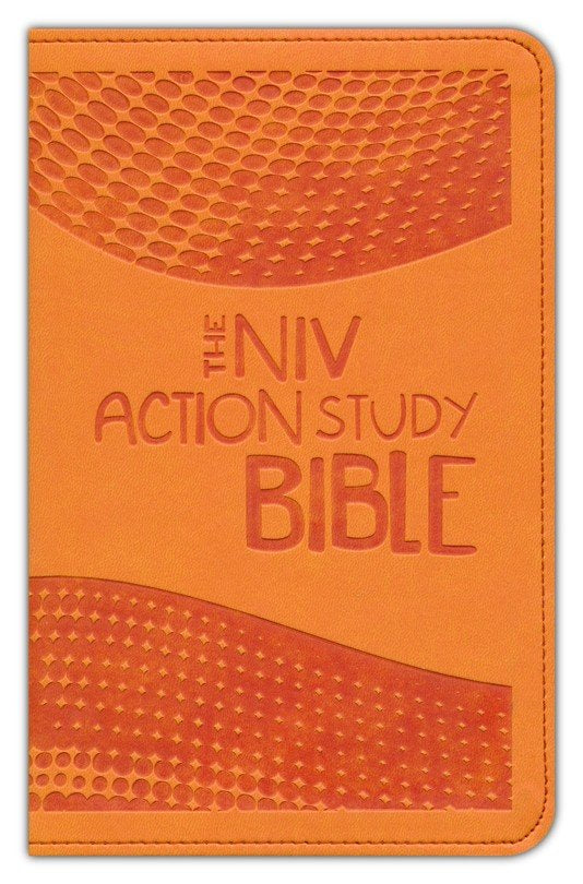 NIV Action Study Bible Premium Edition--Imitation Leather