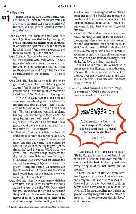 NIV Action Study Bible Premium Edition--Imitation Leather