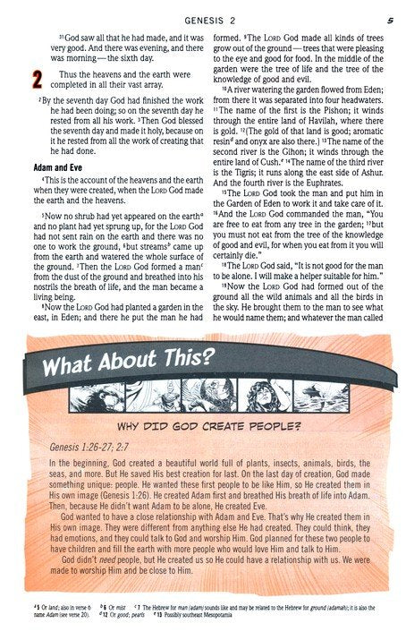 NIV Action Study Bible Premium Edition--Imitation Leather