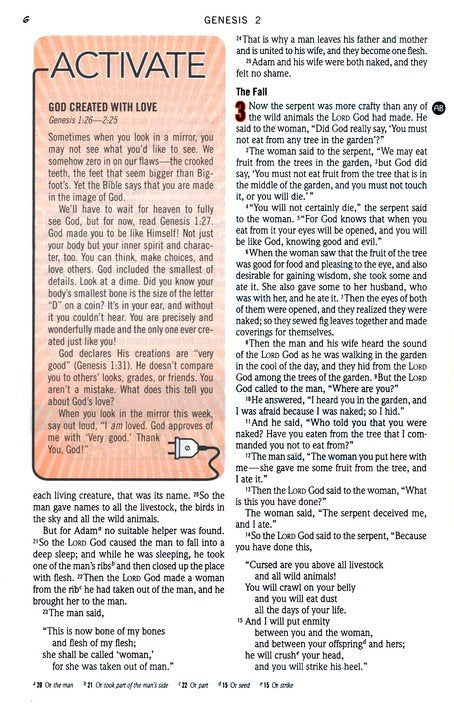 NIV Action Study Bible Premium Edition--Imitation Leather