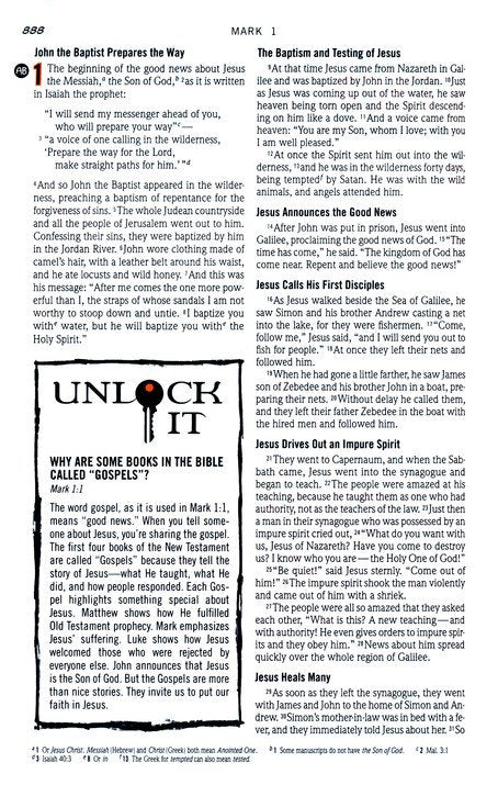 NIV Action Study Bible Premium Edition--Imitation Leather