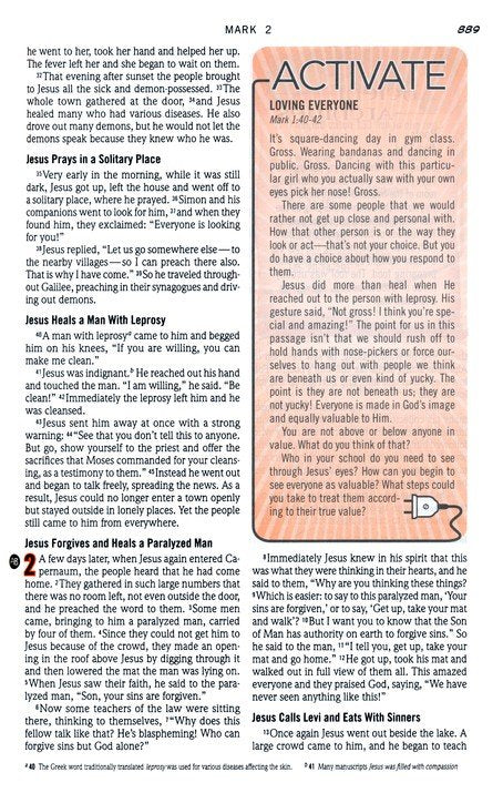 NIV Action Study Bible Premium Edition--Imitation Leather