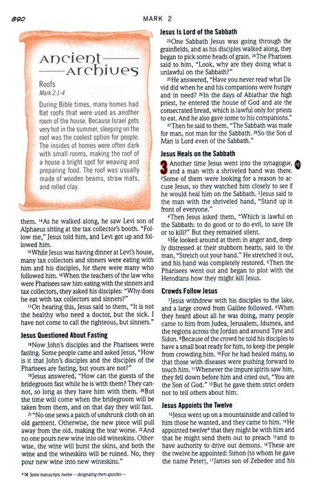 NIV Action Study Bible Premium Edition--Imitation Leather