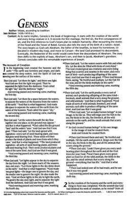 NLT Gift and Award Bible, Imitation Leather, Black