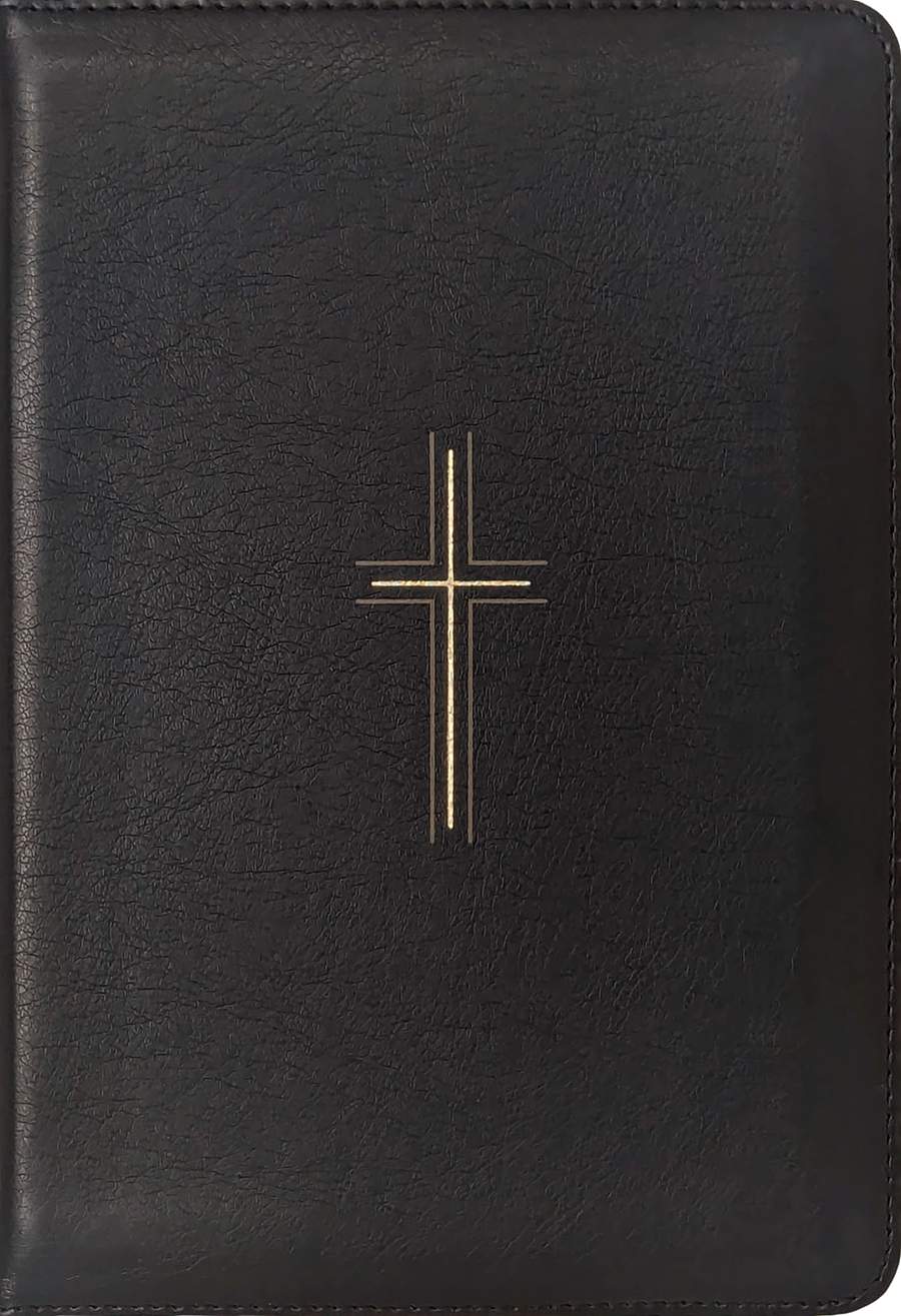 NLT Large Print Thinline Reference Zipper Bible, Filament Enabled