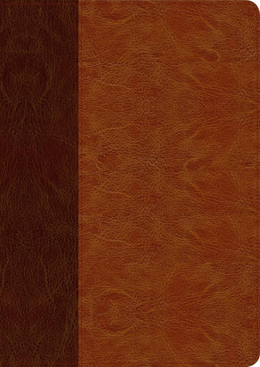 Every Man’s Bible NLT, Large Print