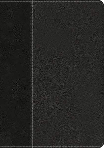 Every Man’s Bible NIV, Large Print