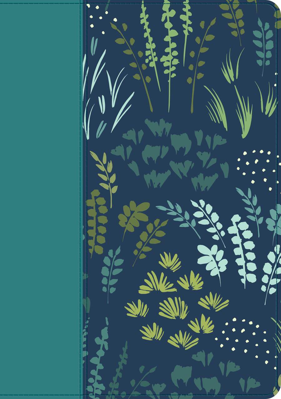 NLT Life Application Study Bible, Third Edition, Large Print