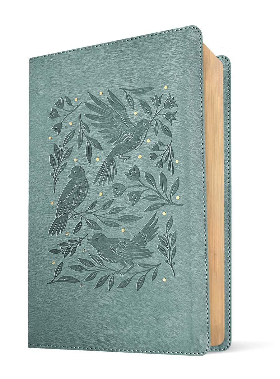 NLT The One Year Bible for Women