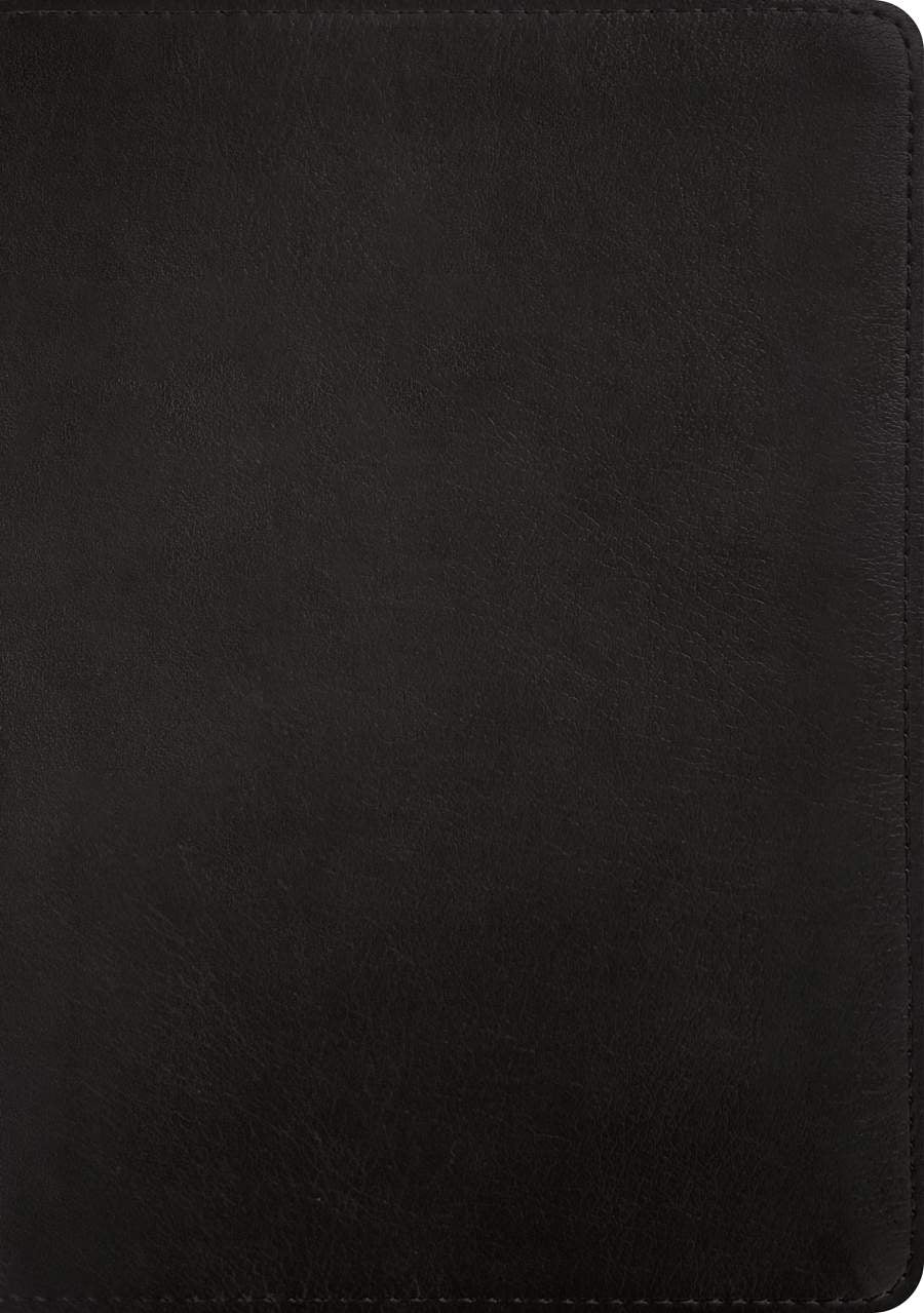 NLT Giant Print Bible, Filament Enabled