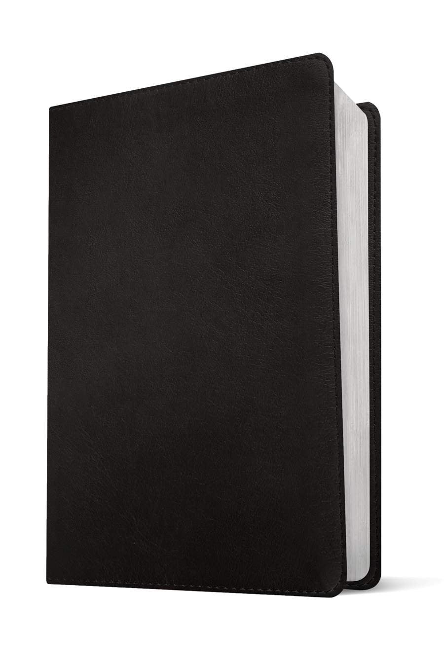 NLT Giant Print Bible, Filament Enabled