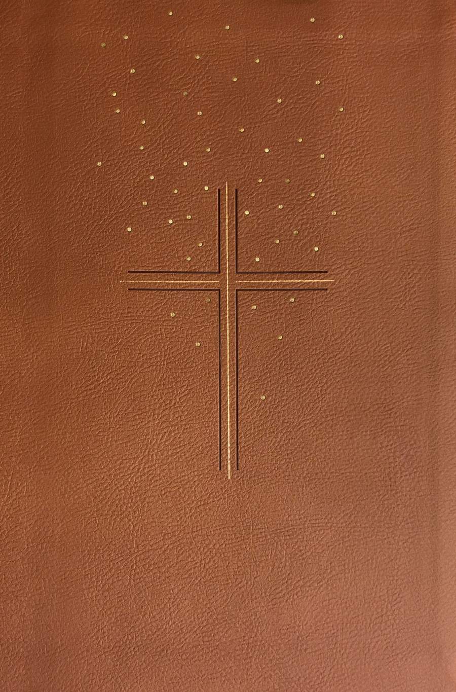 The Message Devotional Bible, Large Print