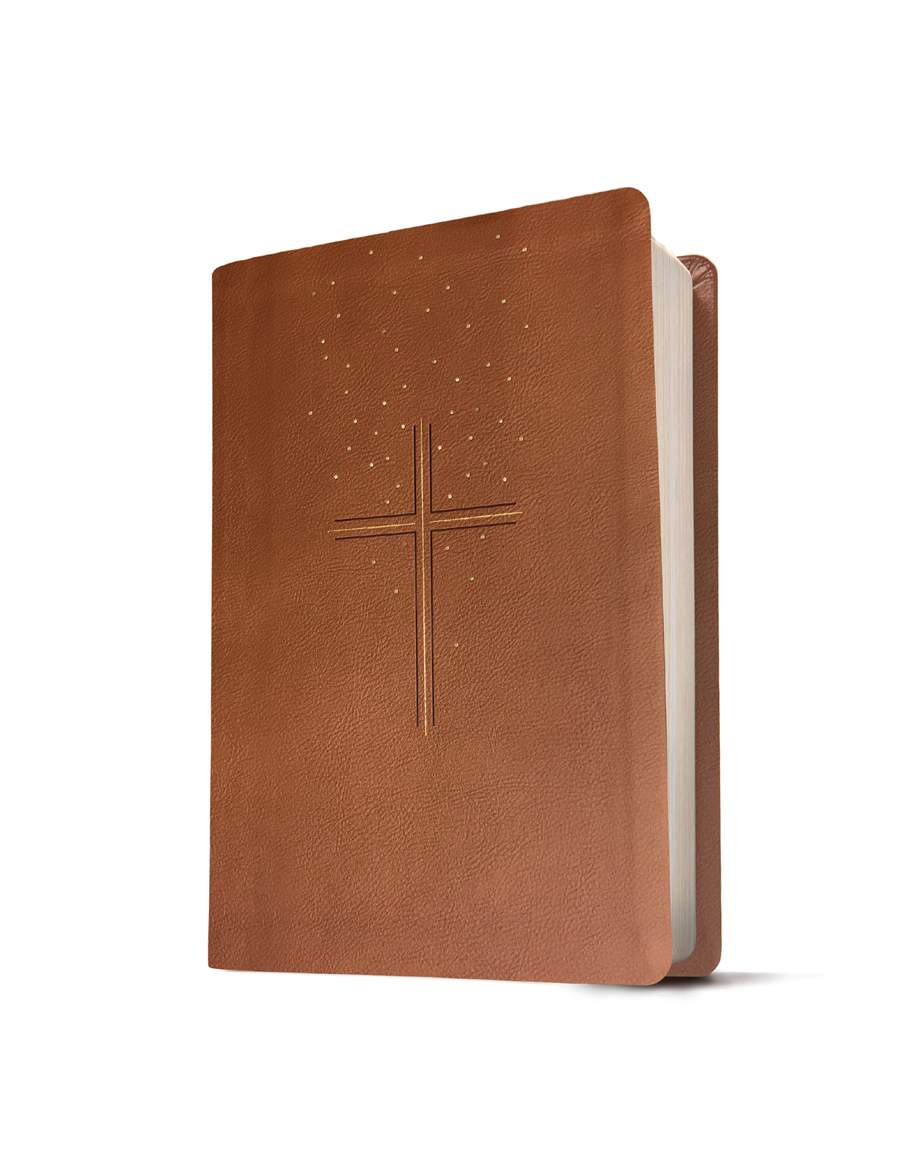 The Message Devotional Bible, Large Print