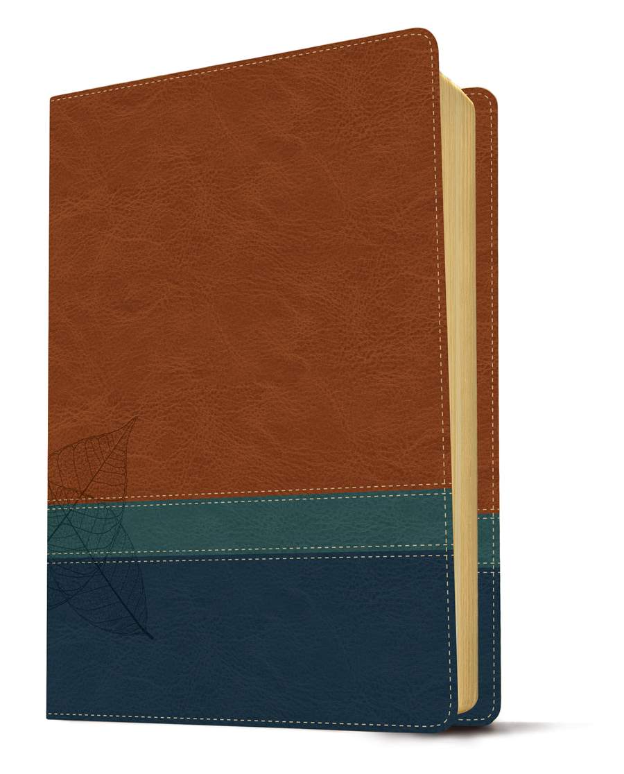 The Swindoll Study Bible NLT