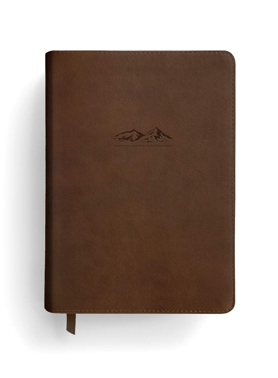 NLT The One Year Bible for Men