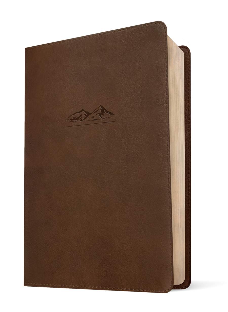 NLT The One Year Bible for Men