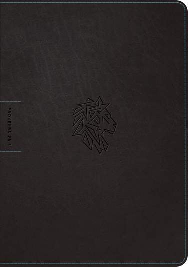 NLT Courage For Life Study Bible for Men, Filament Enabled