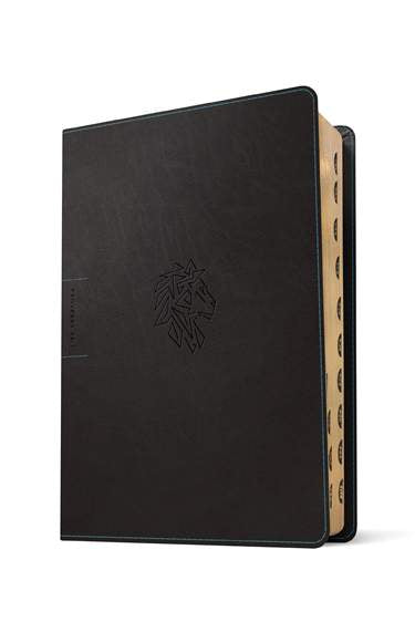 NLT Courage For Life Study Bible for Men, Filament Enabled